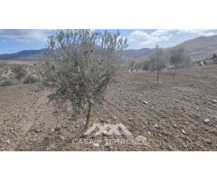 En venta: Terreno Rústico, Casabermeja, Málaga.