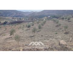 En venta: Terreno Rústico, Casabermeja, Málaga.