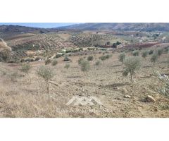 En venta: Terreno Rústico, Casabermeja, Málaga.