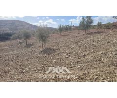 En venta: Terreno Rústico, Casabermeja, Málaga.