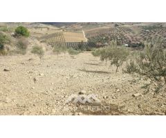 En venta: Terreno Rústico, Casabermeja, Málaga.