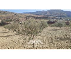 En venta: Terreno Rústico, Casabermeja, Málaga.