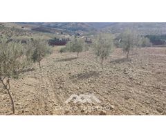 En venta: Terreno Rústico, Casabermeja, Málaga.