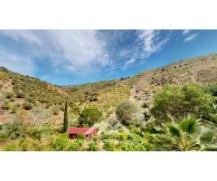 Venta, Finca, Sedella, Málaga, Andalucía