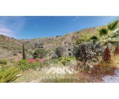 Venta, Finca, Sedella, Málaga, Andalucía