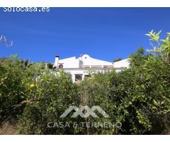 Venta, Finca, Sedella, Málaga, Andalucía
