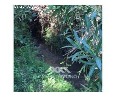 Venta, Finca, Sedella, Málaga, Andalucía