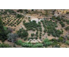Venta, Casa de campo, Alcaucín, Málaga, Andalucía