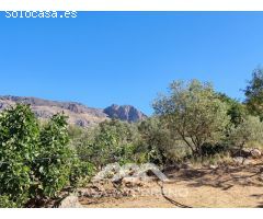 Venta, Casa de campo, Alcaucín, Málaga, Andalucía