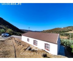 Venta, Casa de campo, Alcaucín, Málaga, Andalucía