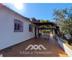 Venta, Casa de campo, Alcaucín, Málaga, Andalucía