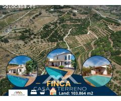 Demeter Finca en Málaga - Un paraíso para los amantes de la naturaleza