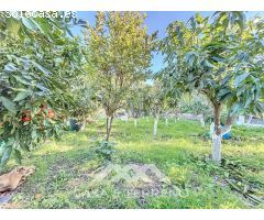 Se vende: Casa de campo, Benamargosa, Málaga