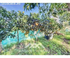 Se vende: Casa de campo, Benamargosa, Málaga