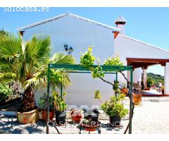 Venta, Villa, Algarrobo, Málaga, Andalucía