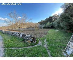 Auténtica Finca Mallorquina en Pollença - Un Refugio en la Naturaleza
