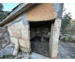 Auténtica Finca Mallorquina en Pollença - Un Refugio en la Naturaleza