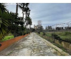 Finca Rústica en Inca - Espacio, Confort y Naturaleza