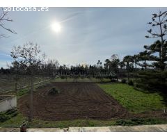 Finca Rústica en Inca - Espacio, Confort y Naturaleza