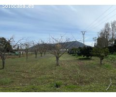 Finca Rústica en Inca - Espacio, Confort y Naturaleza