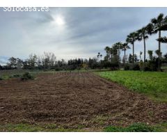 Finca Rústica en Inca - Espacio, Confort y Naturaleza