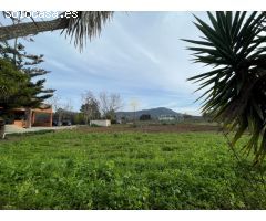 Finca Rústica en Inca - Espacio, Confort y Naturaleza