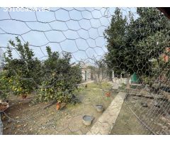 Finca Rústica en Inca - Espacio, Confort y Naturaleza