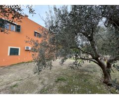 Finca Rústica en Inca - Espacio, Confort y Naturaleza
