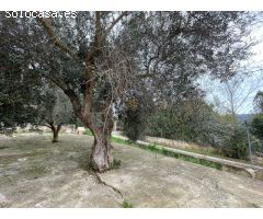 Finca Rústica en Inca - Espacio, Confort y Naturaleza
