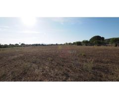 Finca Buganvilla - Encanto Rústico y Exclusividad en Llenaire, Puerto de