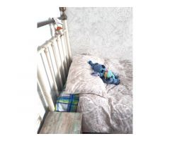 Ático en venta en zona Centro-Playa Poniente de Benidorm 3 dormitorios.