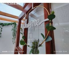 Bungalow con terraza