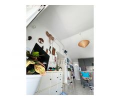 Bungalow En Campo Internacional 1 Habitación