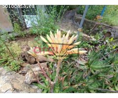 FANTÁSTICO TERRENO EN TORRELLES DE LLOBREGAT