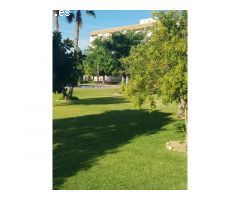 MAGNIFICO APARTAMENTO EN PLANTA BAJA (OPORTUNIDAD INVERSORES)