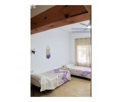 Vivienda constituida actualmente como Bed and Breakfast, 8 habitaciones.
