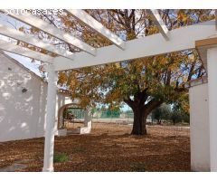 Finca urbana con vivienda, piscina, pista de tenis y terreno agrario de naranjo.