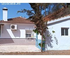 PRECIOSO APARTAMENTO CON LICENCIA TURISTICA EN PARQUE MEDITERRANEO