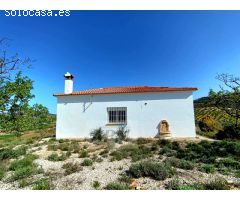 PRECIOSO APARTAMENTO CON LICENCIA TURISTICA EN PARQUE MEDITERRANEO