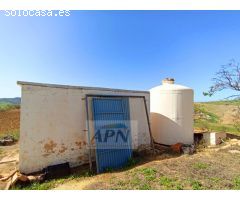 PRECIOSO APARTAMENTO CON LICENCIA TURISTICA EN PARQUE MEDITERRANEO