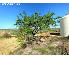 PRECIOSO APARTAMENTO CON LICENCIA TURISTICA EN PARQUE MEDITERRANEO