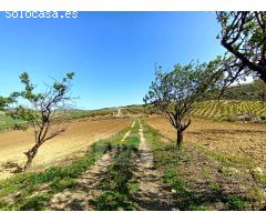 PRECIOSO APARTAMENTO CON LICENCIA TURISTICA EN PARQUE MEDITERRANEO