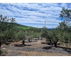 Impresionante propiedad de campo
