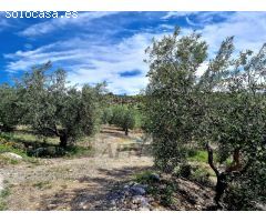 Impresionante propiedad de campo