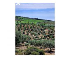 Impresionante propiedad de campo