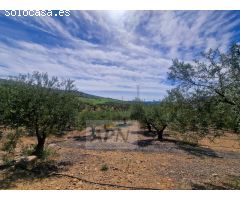 Impresionante propiedad de campo