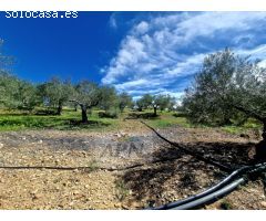 Impresionante propiedad de campo