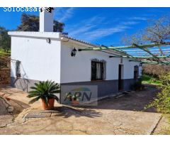 Finca Rustica de 11000m² de terreno producivo en Casarabonela.