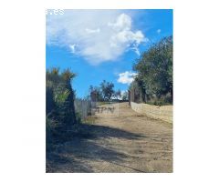 Finca Rustica de 11000m² de terreno producivo en Casarabonela.