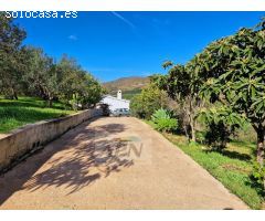 Finca Rustica de 11000m² de terreno producivo en Casarabonela.